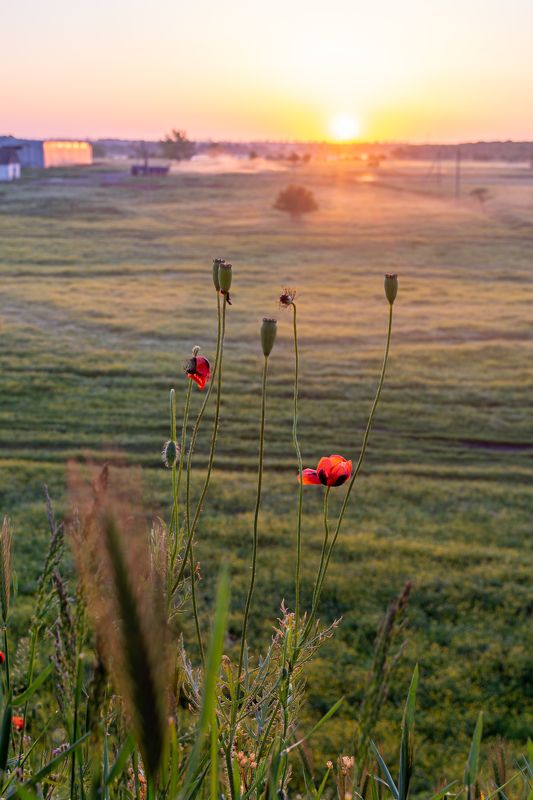мак, пейзаж, восход, виадук, коровник маленький макphoto preview