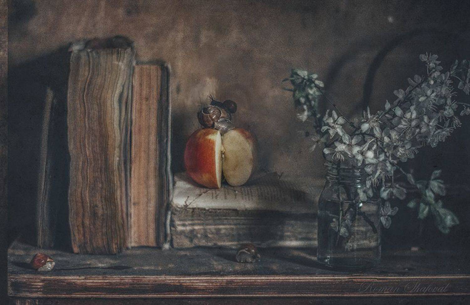 Натюрморт с улиткой..... Автор: Роман , Роман