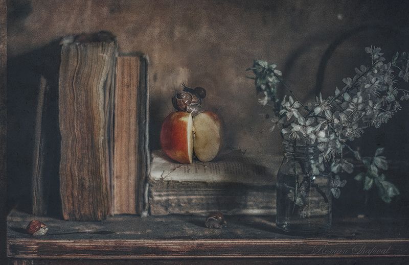 Натюрморт с улиткой....photo preview