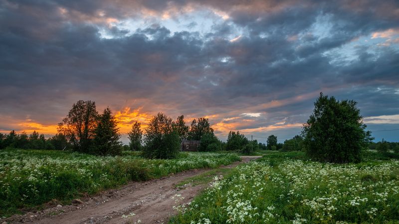 великий двор,вологодчина,кема,север Вечерелоphoto preview