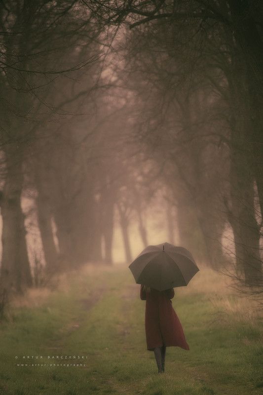 #rain #trees #umbrela #artur #barczynski #lodz #poland rainphoto preview