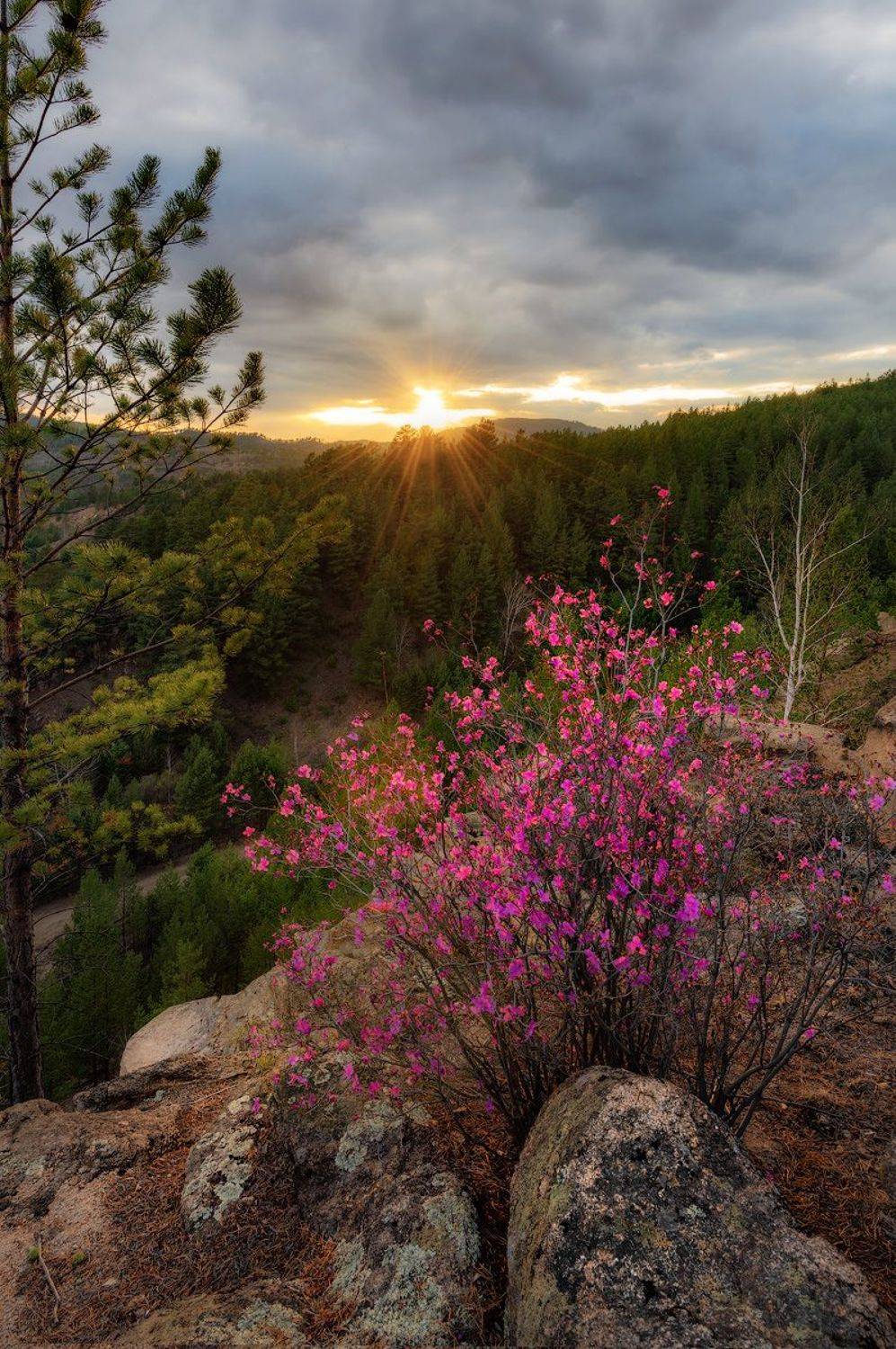 , Сергей Брагин