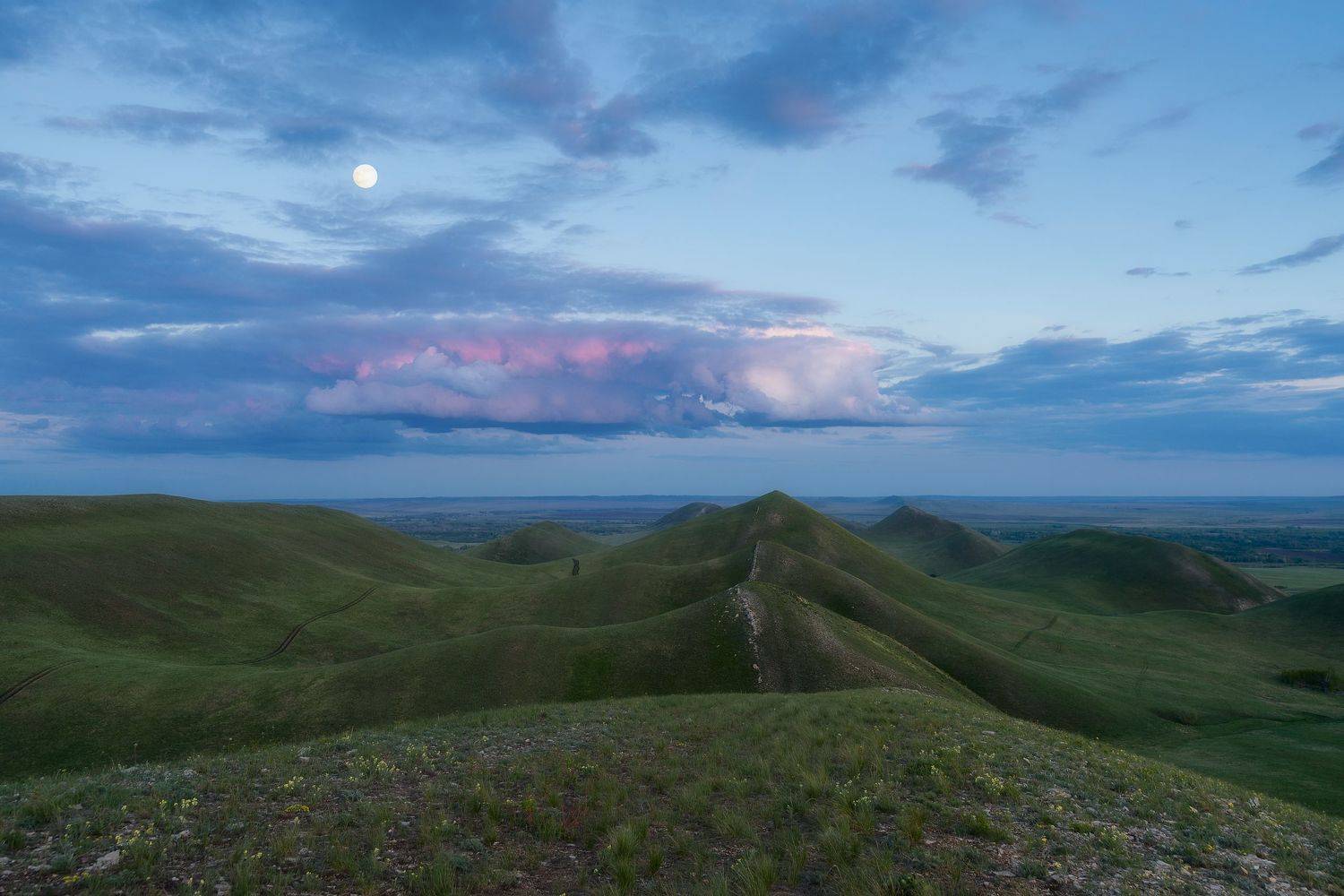 , Михаил Туркеев