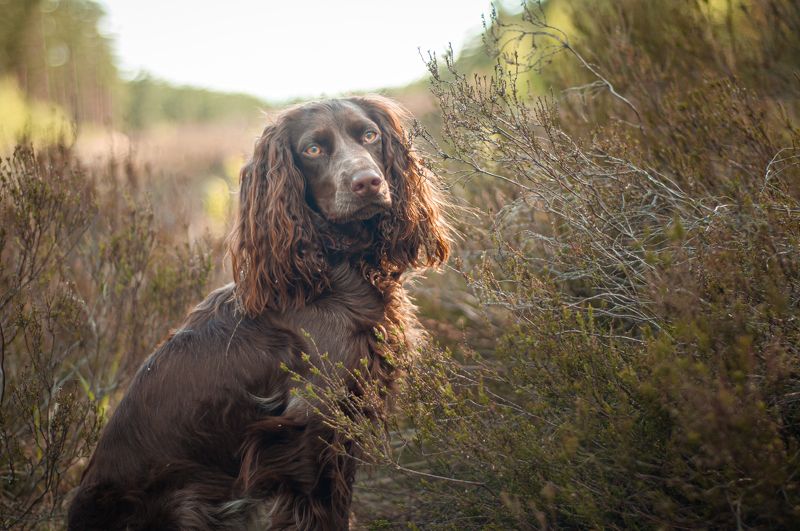 Айтиphoto preview