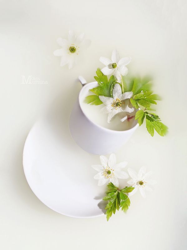 #майтылучший фото превью