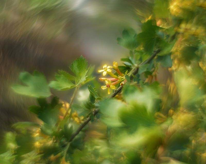 Весна чудесная пораphoto preview