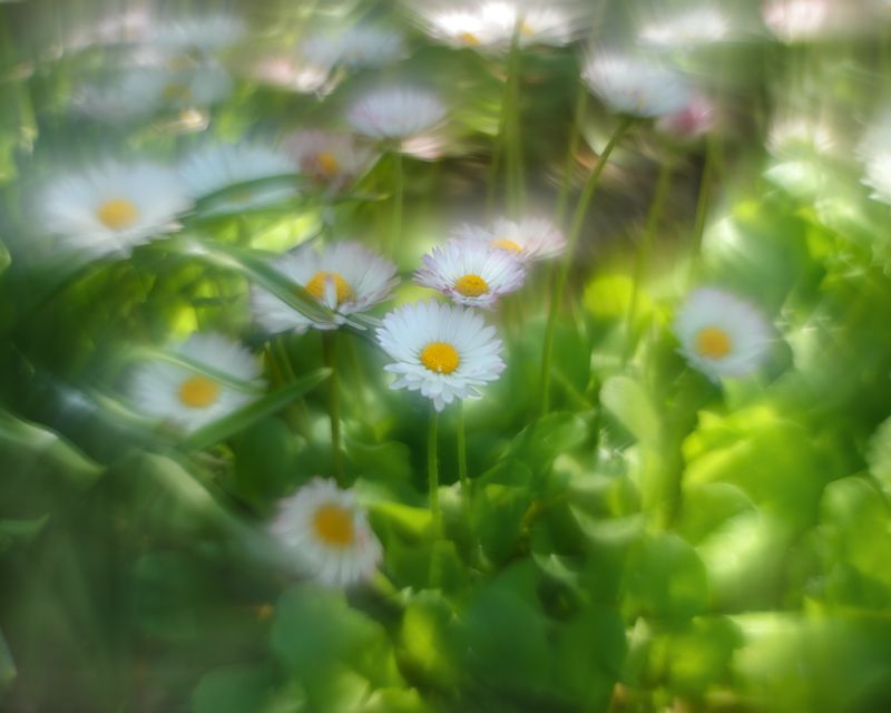 Весна чудесная пораphoto preview