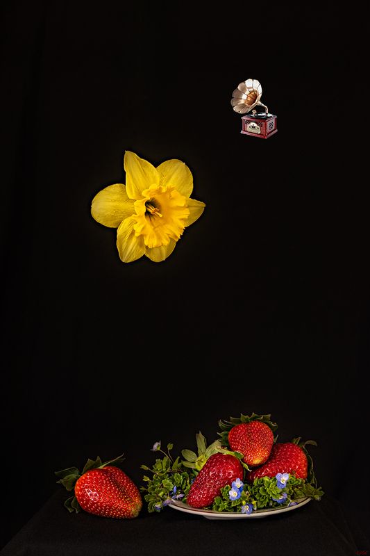 collage, color, colors, color image, concept, conceptual, digital, editing, green, photography, plate, plateful, red, secret, still life, strawberry, A Plateful of Secretsphoto preview