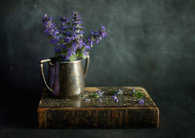 Френско - Български Речникьphoto preview