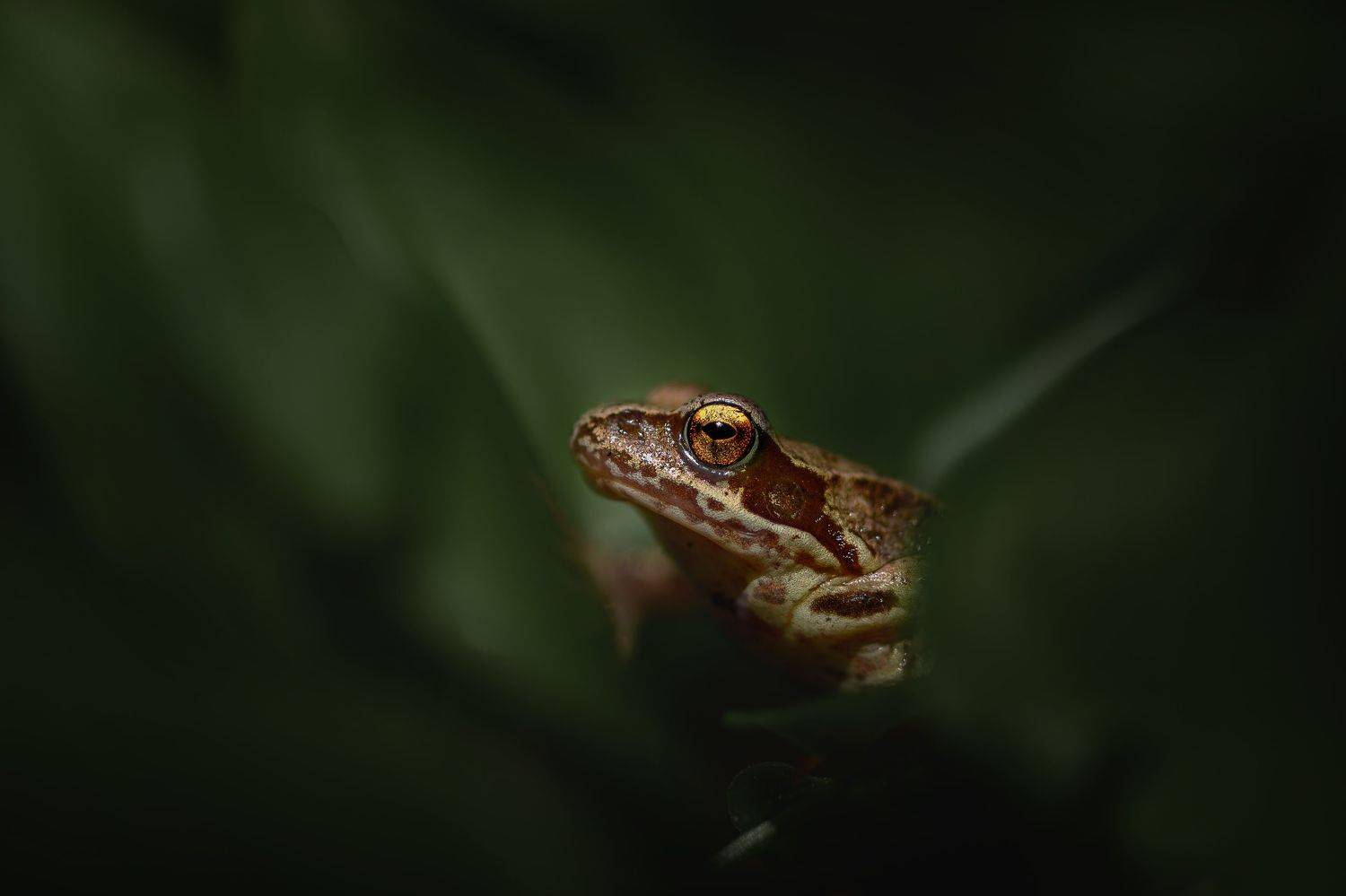 , Татьяна Винничук