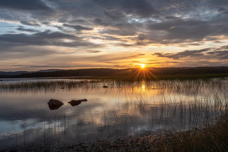 Полярный деньphoto preview