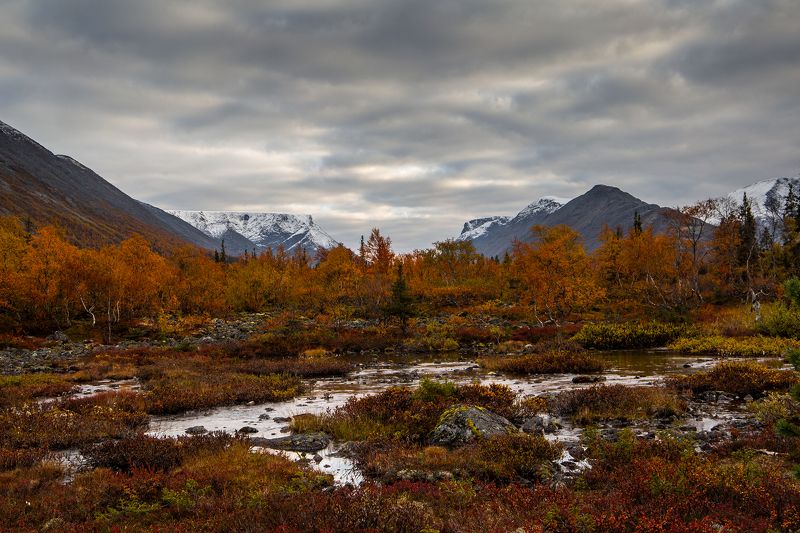 кольский,хибины,куэльпорр,осень Осеньphoto preview