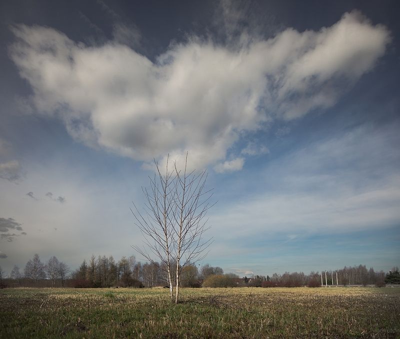 пейзаж польша лодзь облако Lublinekphoto preview