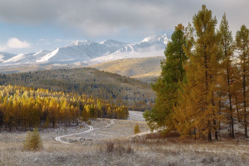 Алтай Урочище Ештыкельphoto preview