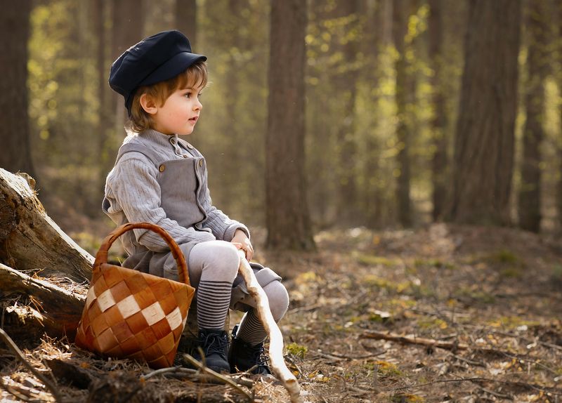 дети,счастье,мир,любовь,забота За грибамиphoto preview