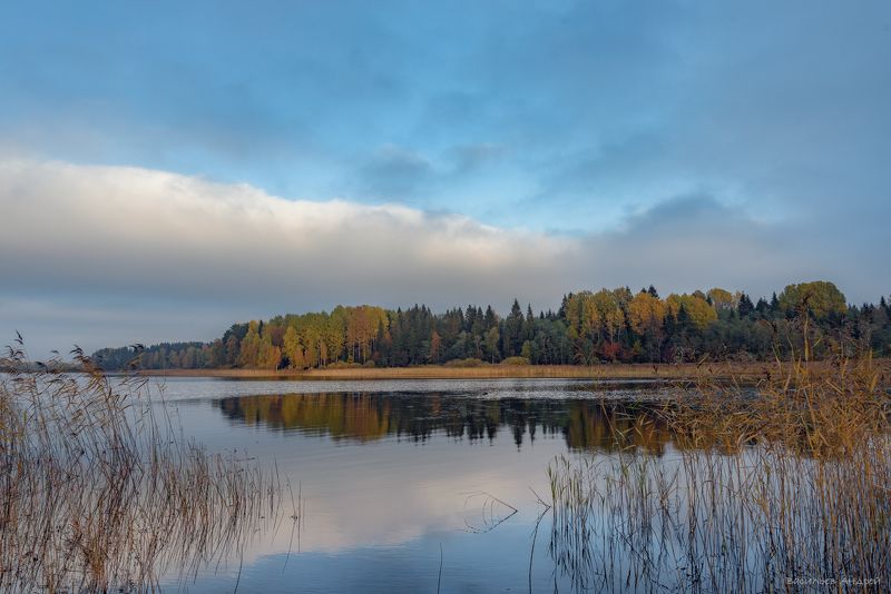 озеро, вечер, тверская область, осень, озеро селигер Залив Близнаphoto preview
