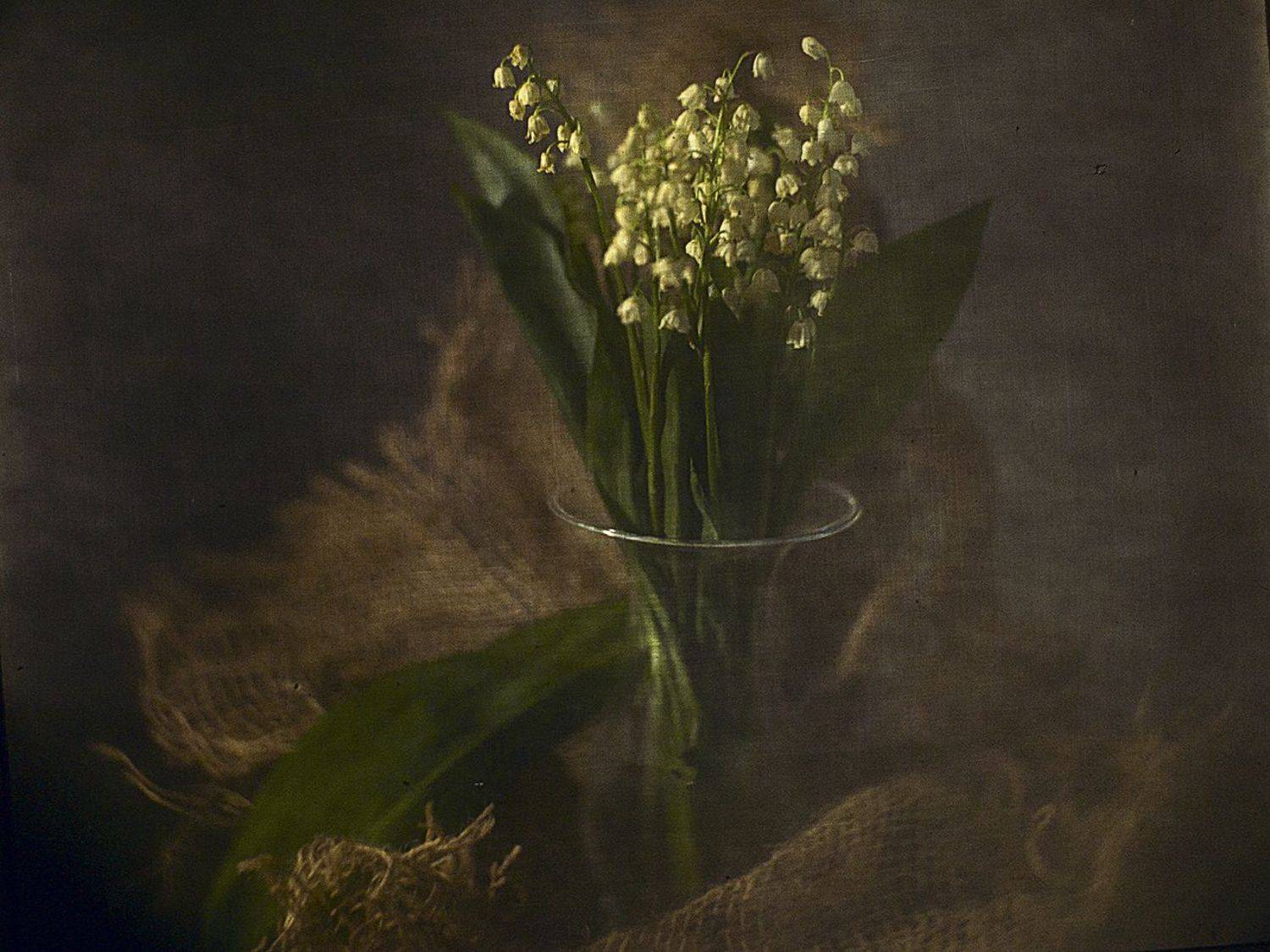 , Татьяна Аверина