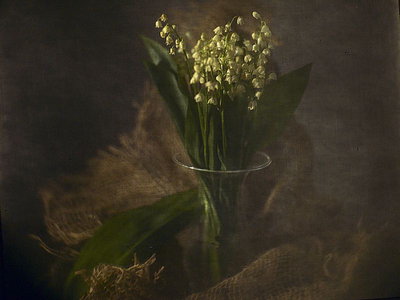 Оставьте ландыши весне...photo preview