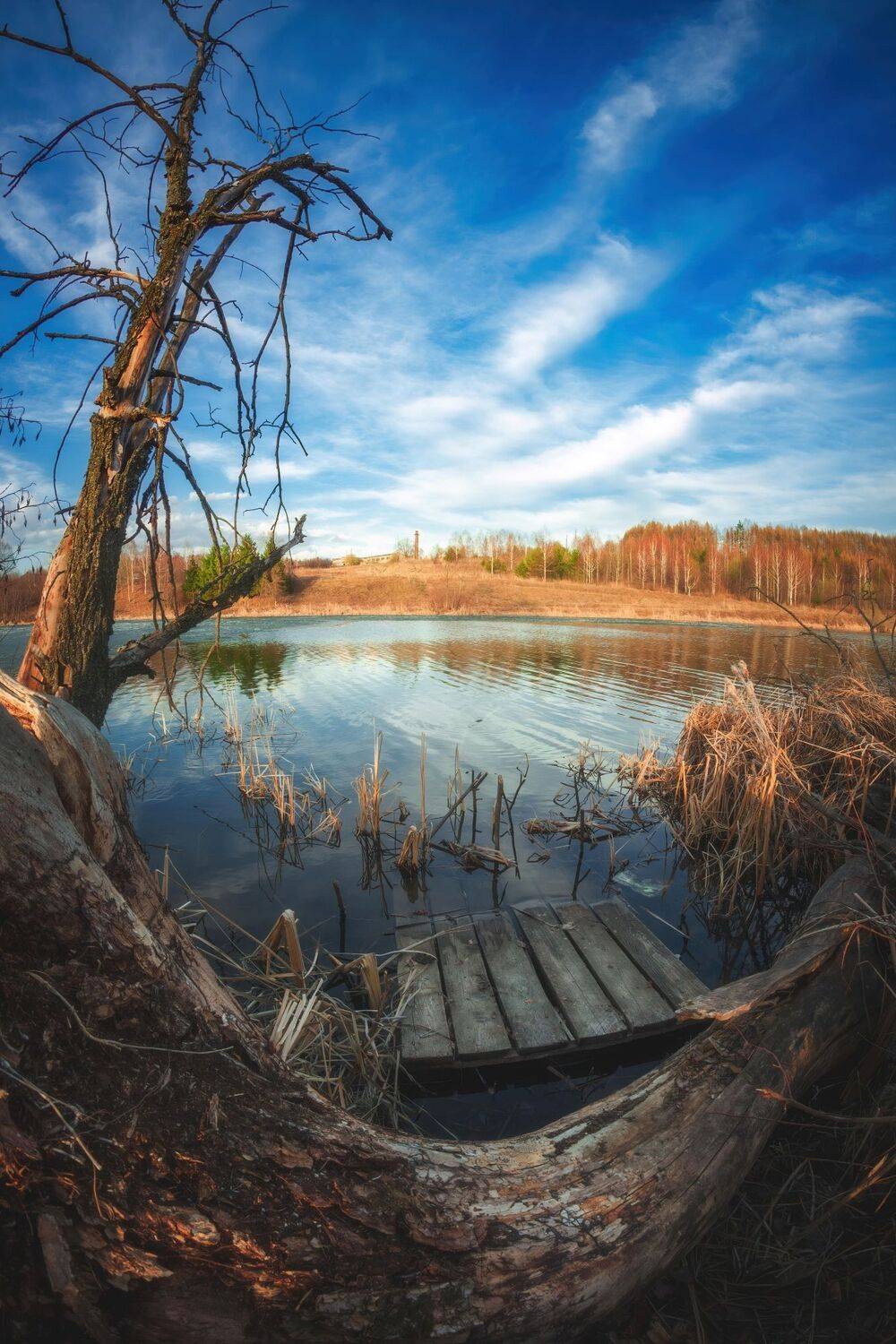 Здесь время остановилось. Автор: Котов Андрей , Котов Андрей