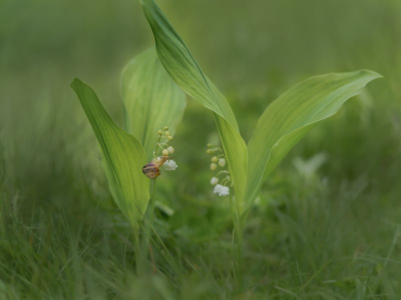 Тяга к красивому. фото превью