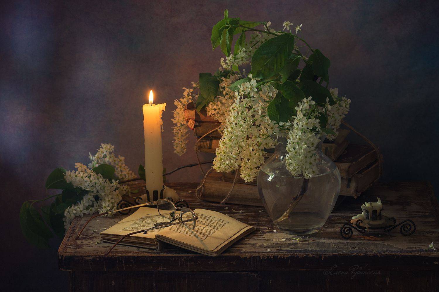 Автор: Елена Рубинская , Елена Рубинская