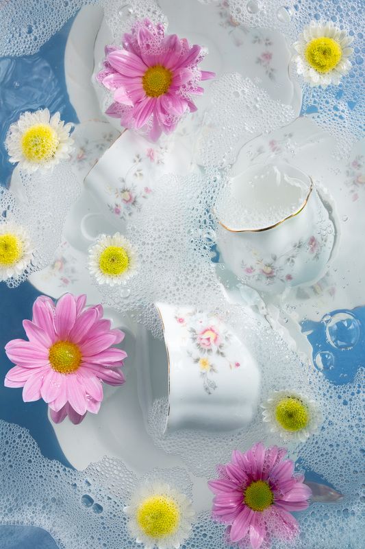 разноеphoto preview