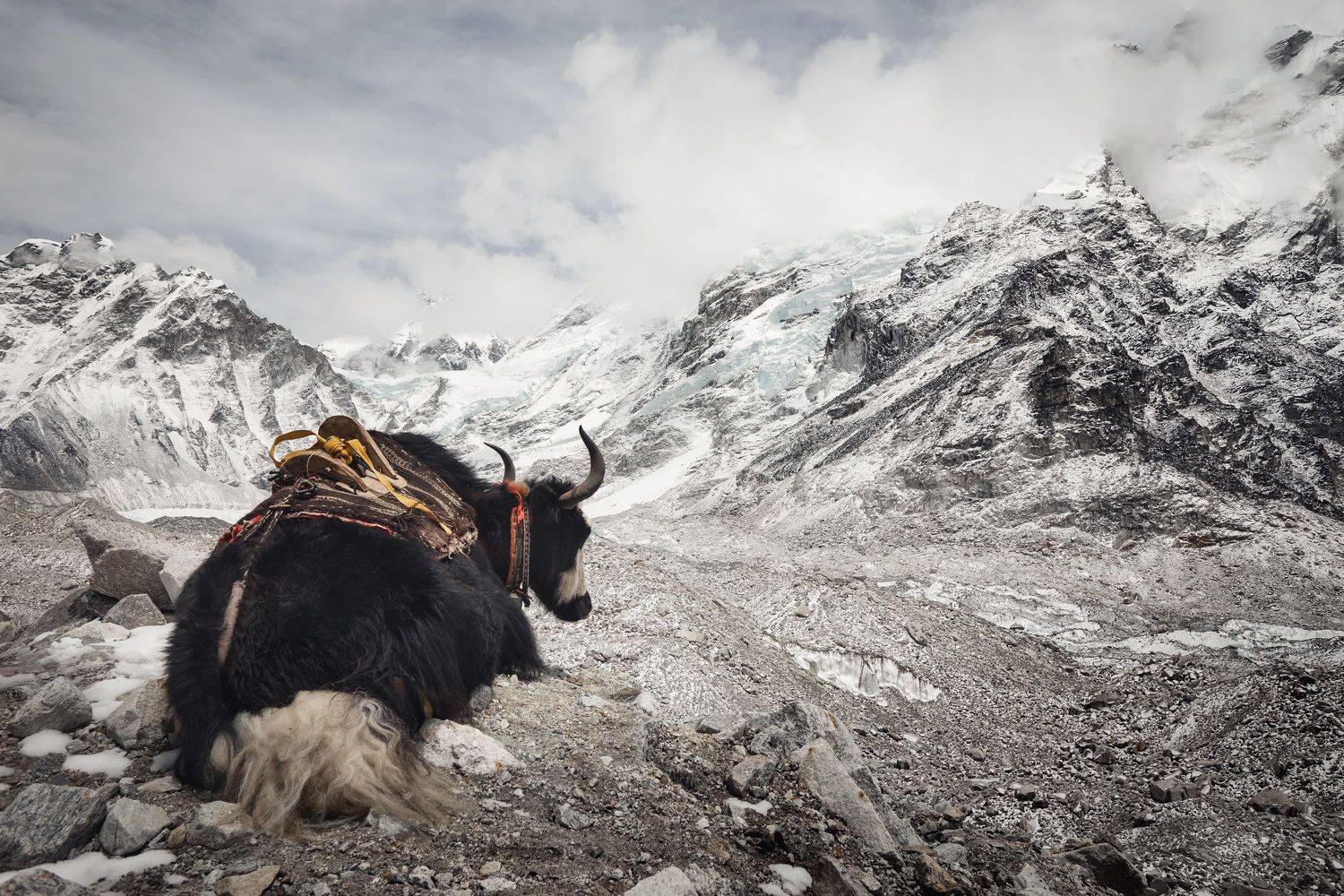 Автор: Козаченко Алексей , Козаченко Алексей
