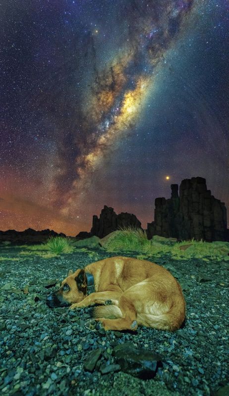 #australia #love #dunes #milkyway #night #stars #nightscape #nightsky #starry Mason The Good Boyphoto preview