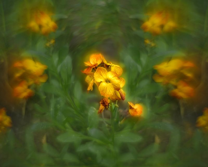 Весна чудесная пораphoto preview