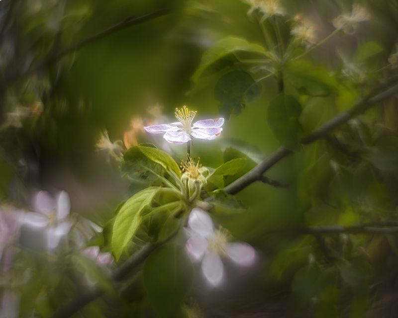 Весна чудесная пораphoto preview