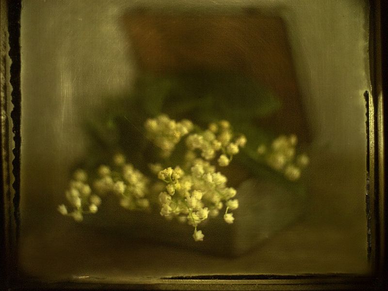 Весна приходит лишь во сне...photo preview