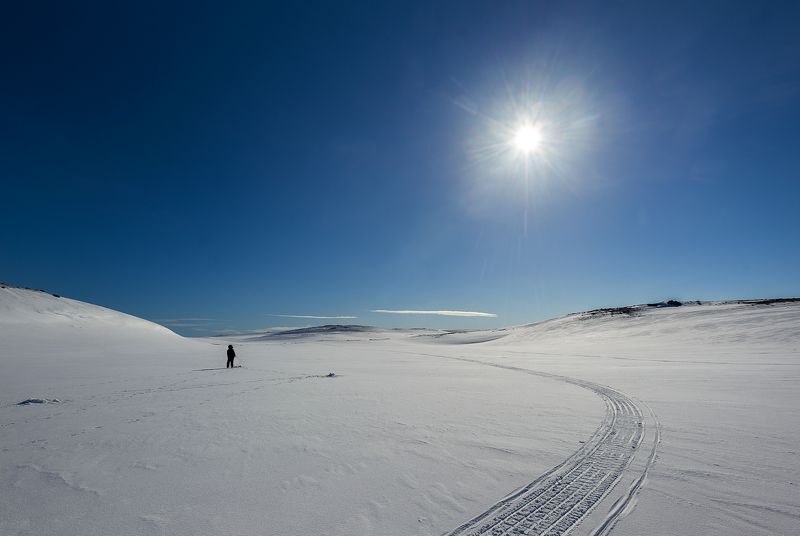 ...ледниковый период. Май 2022photo preview