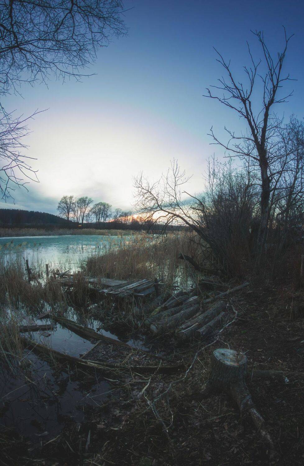 Энтропия. Автор: Котов Андрей , Котов Андрей