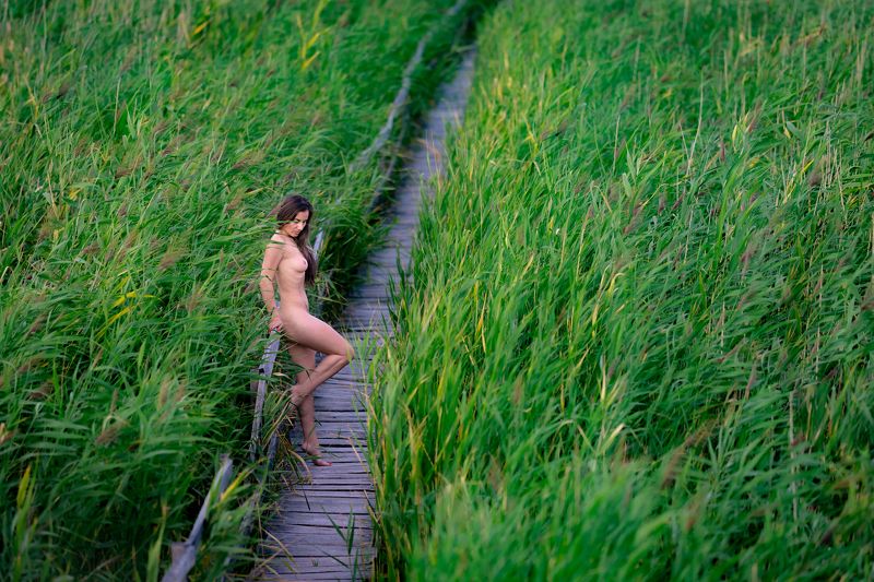 The marshesphoto preview