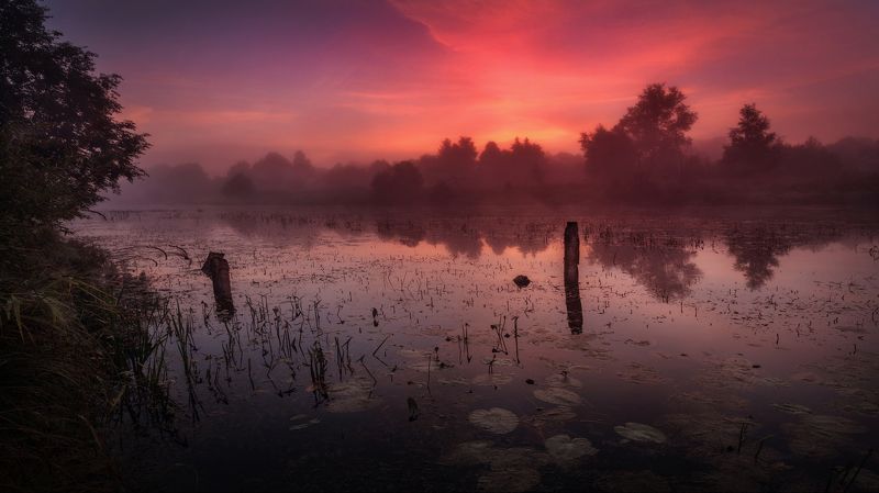озеро, горы, лес, природа, закат, рассвет, красота, приключения, путешествие Утреннее счастьеphoto preview