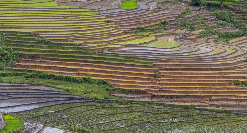 Colors, highlandsphoto preview