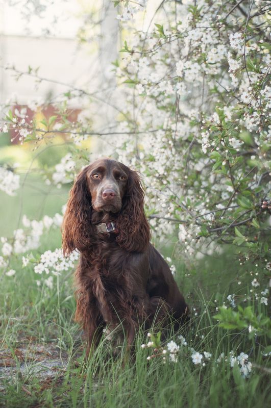 Айтиphoto preview