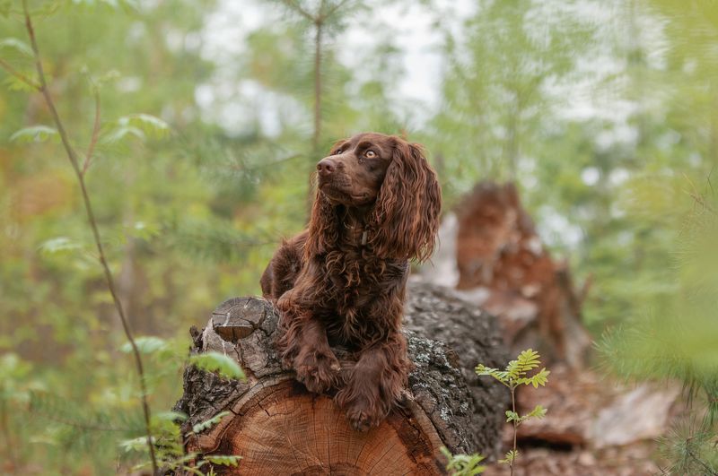 Айтиphoto preview