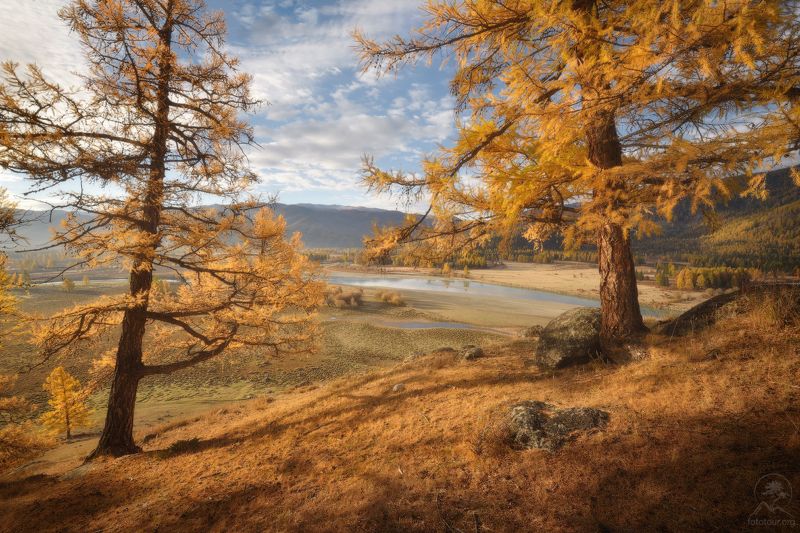 джазатор, алтай Осенний день в Джазатореphoto preview