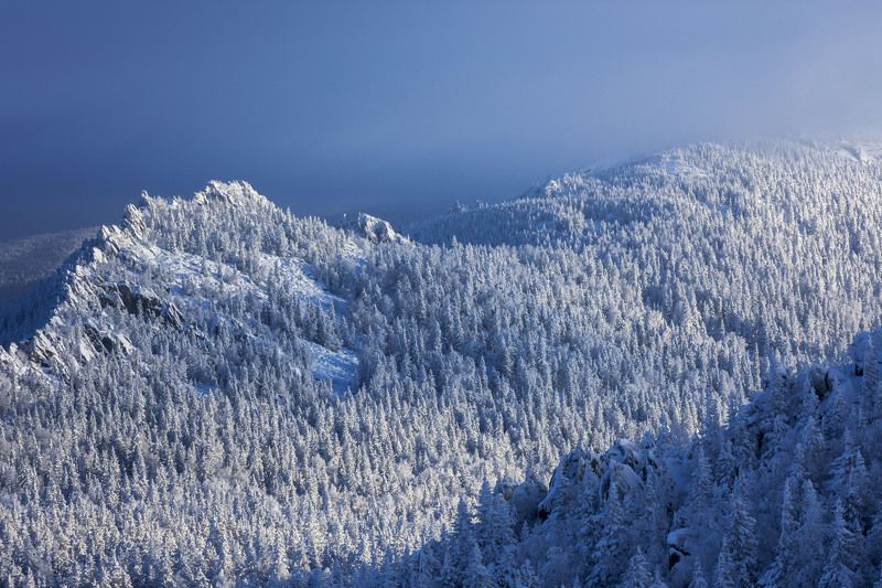 *******photo preview