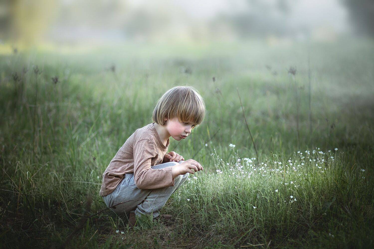 ***. Автор: Arlauskaite Buloviene Vilma , Arlauskaite Buloviene Vilma