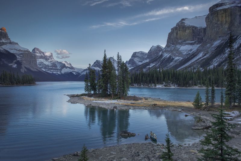 Джаспер 2photo preview