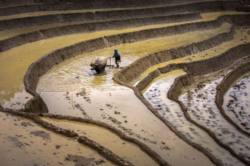 Plow , Harrowphoto preview