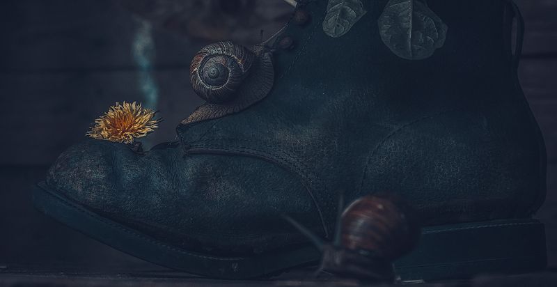 Still life...photo preview