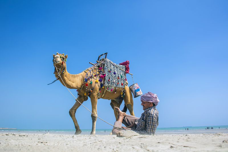 A world called Iranphoto preview