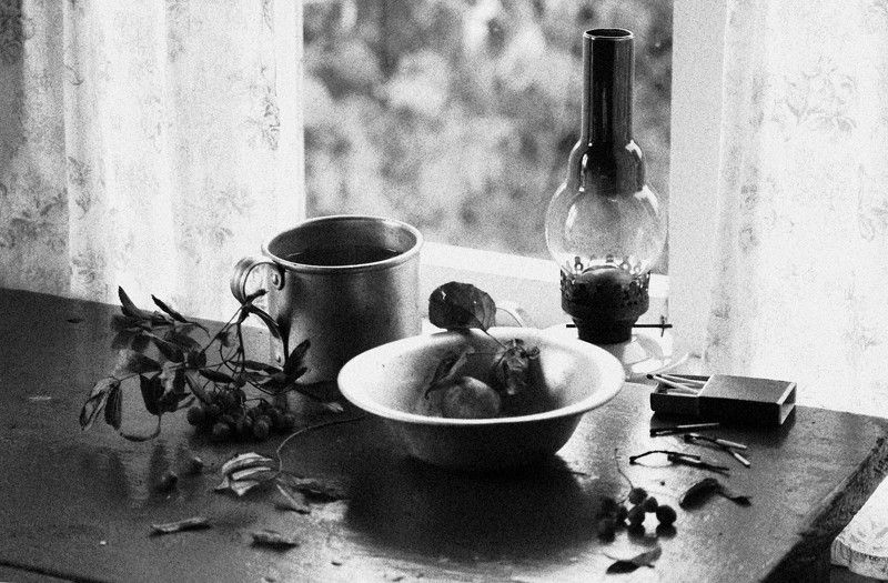 натюрморт, фотонатюрморт, лето, мёд, подсолнухи, наталья казанцева, чёрно-белое, монохром, #stillifefoto Без названияphoto preview