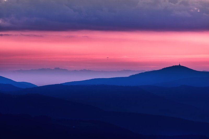 Lonely flight ...photo preview