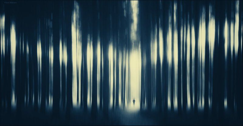 Автопортрет в сосновом лесуphoto preview