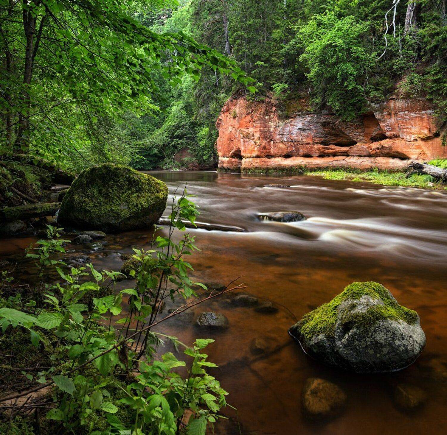 , Евгений Матюшенков