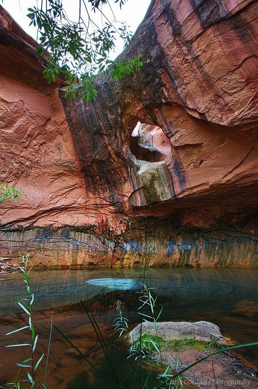 Desert Oasis and Pour Through Archphoto preview